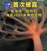 首次披露“蛟龙号”拍到的海底2000米神奇生物