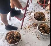 居民家吊顶藏巨型蜂巢 掏七八盆蜂蜜 蜜蜂“潜入”筑巢甜满屋