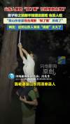 山东人爱吃知了猴传到台湾了 台湾妻子抓“知了猴”上瘾