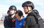 被公安部从柬埔寨抓回来的刘忍，是什么来头？