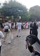 迪士尼早享卡游客集体喊退票 设备故障致游玩受阻