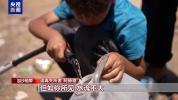 加沙难民营：耗时四小时做锅豆子汤 生活艰难持续