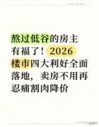 2026年别着急低价卖房，几大利好正在悄悄到来！ 楼市新政助力房产升值