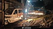 上海300多株倒伏树木一夜清零 绿化市容队伍高效处置