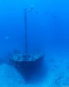 科学家首次目睹海底扩张全程 深海裂变震撼曝光