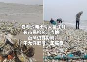 当地回应海滩现大量生蚝有市民捡拾 沙滩已不对外开放