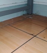 上海特大暴雨 复旦学生称床底渗水