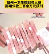 卫生院财务人员挪用公款300余万：被判处有期徒刑五年七个月