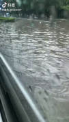 济南突降暴雨 积水深到大腿 城市出行受考验