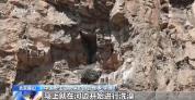 北京正成为珍稀野生动物宜居家园 生态修复成效显著