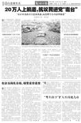 台湾20万人抗议民进党“毒台” 食品安全引众怒