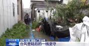 台风“红霞”登陆后的一线坚守