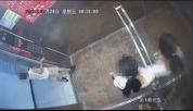 俩女子电梯内互殴母亲怂恿孩子帮忙 电梯口争执升级肢体冲突