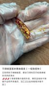 吃干辣椒前一定要掰开检查