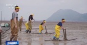研学体验持续“上新” 各地激活暑期文旅消费