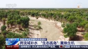 塔里木河第27次生态输水第二阶段启动 活水滋养绿洲