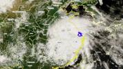 白海豚的雨在台风里属于什么水平 超强降雨能力