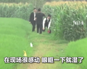 泪目！新郎接亲后绕道1小时到母亲坟前告知
