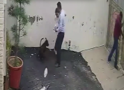 印度一对夫妻看房时遭比特犬袭击