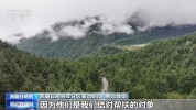 子弟兵在吉隆挨家挨户送医送药 温暖民心