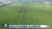 秋粮主产区分类施策 全力夺取丰收