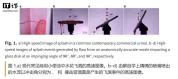 2026搞笑诺贝尔奖揭晓 奇特研究引关注
