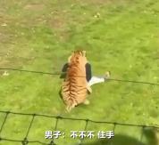 男子翻越围栏闯入老虎活动区，遭老虎扑咬当场重伤身亡 无知鲁莽酿悲剧
