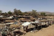 苏丹西部一地区超1800人因严重营养不良死亡