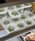 中国农大食堂蛋糕酷似蛤蟆 每块9.9 造型独特引抢购热潮