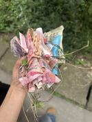 市民在草丛发现5000余元现金 好心人报警寻失主