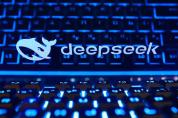 针对DeepSeek 美国政府下黑手 禁令范围扩大引发关注