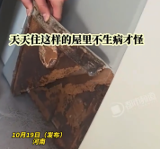 女子鼻炎总不好发现护墙板发霉生虫：天天住在这种环境里，不生病才怪