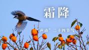 “声动”二十四节气·霜降 秋色浓情
