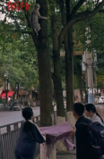 这场“小救援”很暖心！小朋友们用外套为小猫撑起安全网