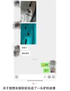 骆驼骑师回应擦边骆驼 商标争议引发热议