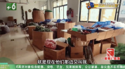 老板称近5万代运营只卖出2个样品，单价不过几十元