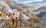 霜降节气吃点啥 温补养身正当时
