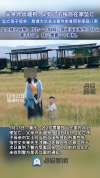母亲哽咽回应2岁儿子独自在家坠亡 追寻真相未果