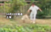 居委会回应两男孩虐猫并扔入湖中