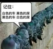 男子车经常被鸟拉屎确诊肺炎 清理鸟粪需谨慎防护