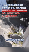 七旬夫妇被民宿瓦片砸中 索赔6千遭拒 猴子惹祸？