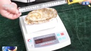 沙漠海鲜又上新了 生蚝丰收喜迎季