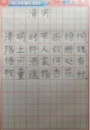 童趣非遗 纸上生花