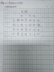 童趣非遗 纸上生花