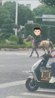 男人戴墨镜骑黑点赶紧路被罚 安全隐患引平和