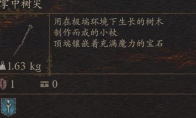 《龙之信条2》武器追掌中树尖怎么获得