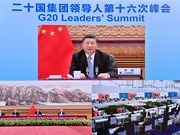 습근평 주석, 제16차 G20 정상회의에 계속 참석