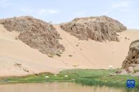 여름철 알라산 사막의 천지풍경