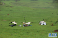 운남의 헤이파(黑巴) 목초지 캠프 붐