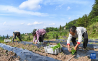 마을 집단 경제 강화로 농촌 활성화에 일조